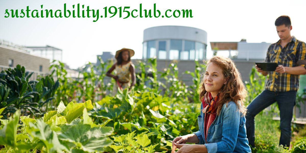 sustainability.1915club.com
